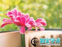 医师评职称对课题的要求